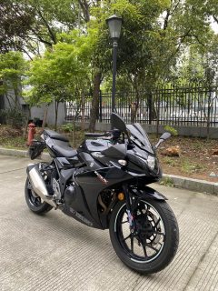 Haojue Suzuki GSX250R - ფოტო 5