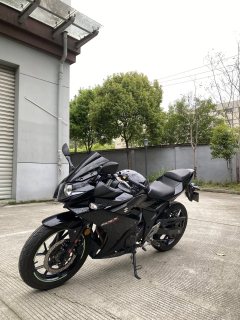 Haojue Suzuki GSX250R - ფოტო 6