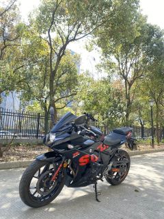Haojue Suzuki GSX250R - photo 1