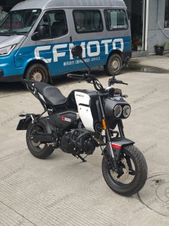 CFMOTO Papio XO-1 125 cc - ფოტო 6