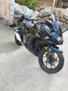 Haojue Suzuki GSX250R - ფოტო 3