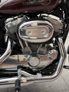 Harley-Davidson 883L SuperLow - ფოტო 7
