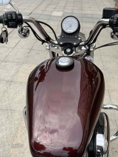 Harley-Davidson 883L SuperLow - ფოტო 8