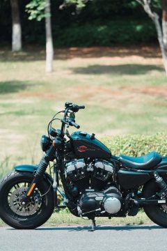 Harley-Davidson Forty-Eight athlete 1200 cc - ფოტო 2