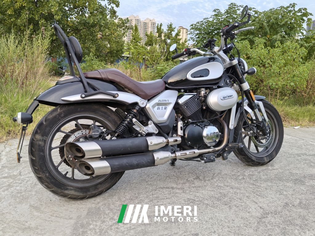 2024 Jueshijie DX250