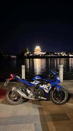 Haojue Suzuki GSX250R - ფოტო 8