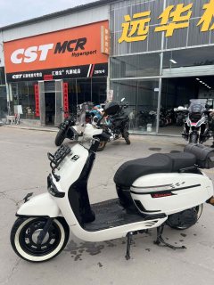 Weiduoliya Sixties 150Si - ფოტო 7