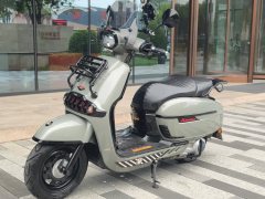 Weiduoliya Sixties 300i - ფოტო 1