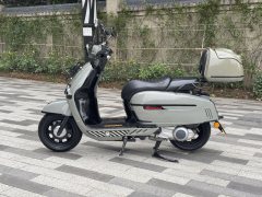 Weiduoliya Sixties 300i - ფოტო 10