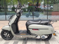 Weiduoliya Sixties 300i - ფოტო 2