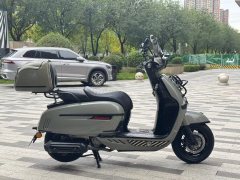 Weiduoliya Sixties 300i - ფოტო 5