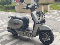 Weiduoliya Sixties 300i - ფოტო 6