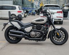Benda Chinchilla 350 - photo 4