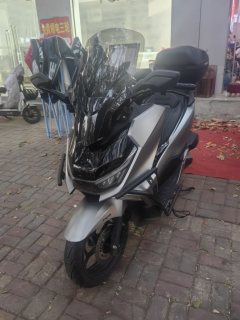 Sundiro Honda NS150GX - фото 3