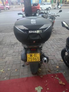 Sundiro Honda NS150GX - фото 5