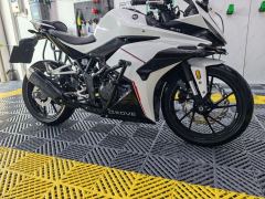 Kayo 250RR Thornbird - ფოტო 1