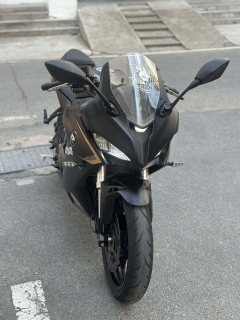 QJMOTOR SRK 250 - photo 2