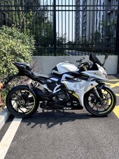 CFMOTO 250SR - photo 5