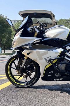 CFMOTO 250SR - photo 6