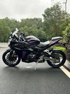 Cyclone RC401 400 cc - photo 4