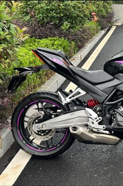Cyclone RC401 400 cc - photo 8