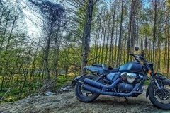 Longjia V Dominator 250 - ფოტო 1