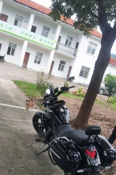 Haojue TR300 - photo 10