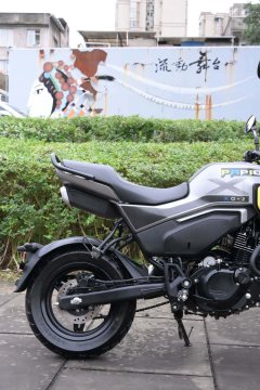 CFMOTO Papio XO-1 125 cc - ფოტო 7