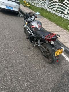 Voge 300RR - ფოტო 3