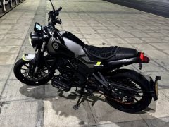Benelli Young Lion Leoncino 250 - фото 1
