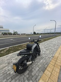 Benelli Young Lion Leoncino 250 - фото 2