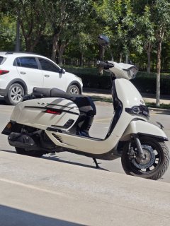 Weiduoliya Sixties 150Si - ფოტო 2