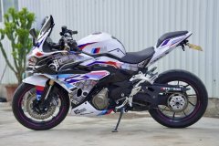 QJMOTOR 450 - ფოტო 5