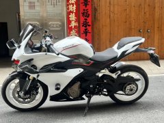 QJMOTOR Sai 450 - ფოტო 1