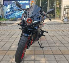 Haojue Suzuki GSX250R - фото 8