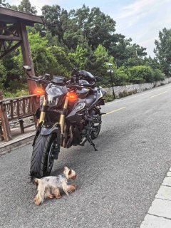 Benelli TNT600i - photo 2
