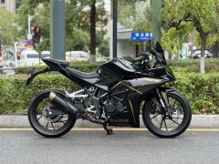 Kayo 250RR Thornbird - photo 2