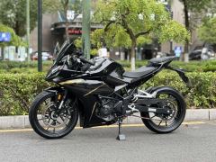 Kayo 250RR Thornbird - photo 4
