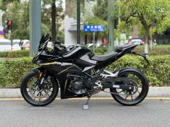 Kayo 250RR Thornbird - photo 5
