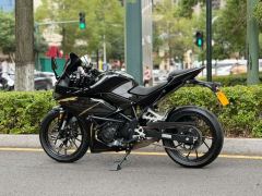 Kayo 250RR Thornbird - photo 6