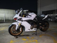 QJMOTOR Sai 600 - photo 1