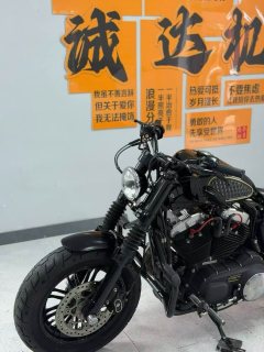 Harley-Davidson Forty-Eight 1200 cc - ფოტო 2