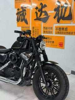Harley-Davidson Forty-Eight 1200 cc - ფოტო 4