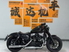 Harley-Davidson Forty-Eight 1200 cc - ფოტო 5