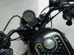 Harley-Davidson Forty-Eight 1200 cc - ფოტო 6