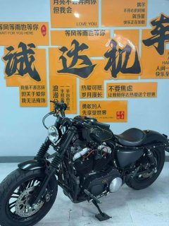 Harley-Davidson Forty-Eight 1200 cc - ფოტო 8