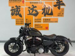 Harley-Davidson Forty-Eight 1200 cc - ფოტო 9
