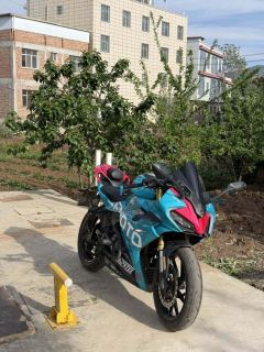 CFMOTO 250SR - ფოტო 4