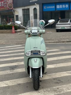 Weiduoliya Sixties 150Si - ფოტო 2