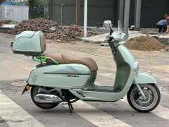Weiduoliya Sixties 150Si - ფოტო 4